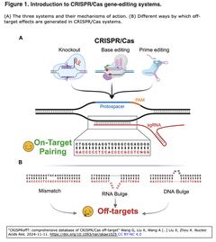 CRISPRoffT 1