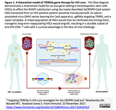 Targeting TRIM5α in HIV