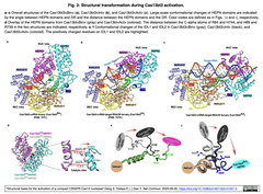 Cas13bt 3