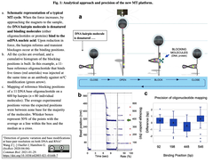 DNAまたはRNA１分子内の遺伝的変異と塩基修飾を一塩基対分解能で検出する法