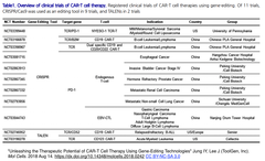 CAR-T 3