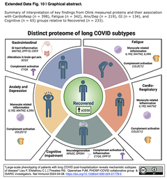 long COVID subtypes