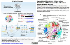 大腸癌のプロテオゲノミクス – 遺伝子変異とタンパク質発現量を繋ぐ