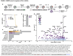 誘導性CRISPRスクリーニングにより, 癌における免疫抑制性表面分子の制御マップを確立