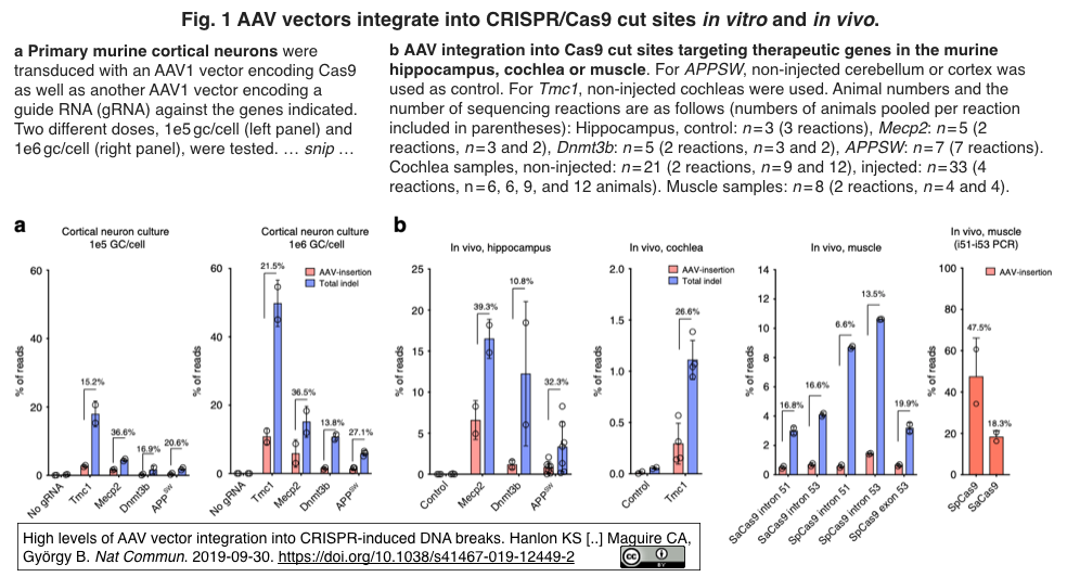 crisp_bio
Cas9-sgRNAをAAVベクターで送達すると、標的部位/DSB部位にAAVが組み込まれる
コメント
