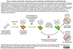 CRISPRメモ_2018/08/29 (7件)