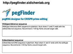 pegFinder: プライム・エディティング (PE)のガイドRNA (pegRNA)設計支援Webツール