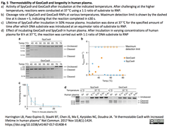Stable Cas9 3