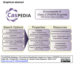 スクリーンショット 2024-01-14 10.54.18