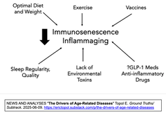 [総説] 免疫老化と炎症老化の重要な役割に関する新たな知見