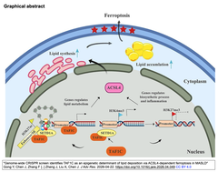 Genome-wide CRISPR screen identifies TAF1C