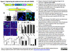 CRISPRメモ_2017/09/30_血糖値センサ；点変異KI；RBS改変；dCas9標的探索速度