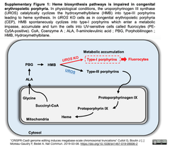 スクリーンショット 2019-03-10 11.33.05