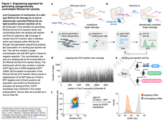 Multimodal control of Cas13d Figure 1