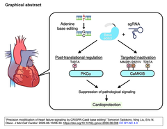 Precision modification of heart failure GA