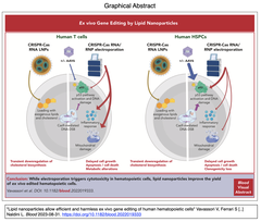 CRISPR-Cas9 RNAをLNPで送達することで、高効率で安全なT細胞とHSPC細胞の生体外遺伝子編集を実現