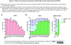 CRISPRメモ_2019/08/09 (5件)