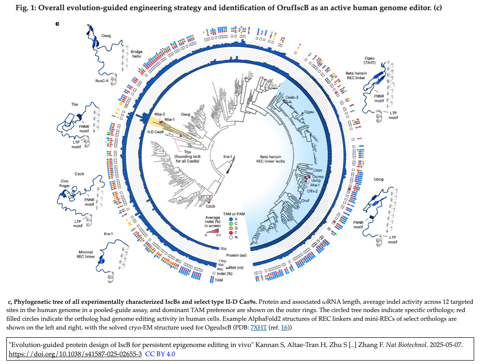 カルチュラル・ミスエデュケーション : 「文化遺産の伝達」とは何なのか カルチュラル・ミスエデュケーション : 「文化遺産の伝達」とは何な