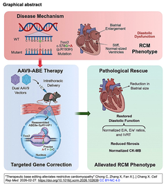 Therapeutic base editing