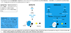 超高感度白血病診断ツールをDNAタイルを介した鎖置換増幅とCRISPR/Cas12の組み合わせで実現