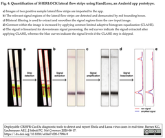 Fig. 4 a-e