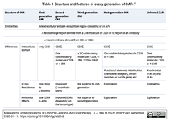 CAR-T 1