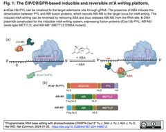 CIP:CRISPR