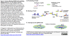 Human Pluripotent Stem Cell Research-4