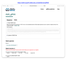 Improving the efficiency of high-fidelity Cas9 by enhancing