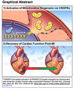 %22CRISPR-Cas-based activation of PPARGC1A GA