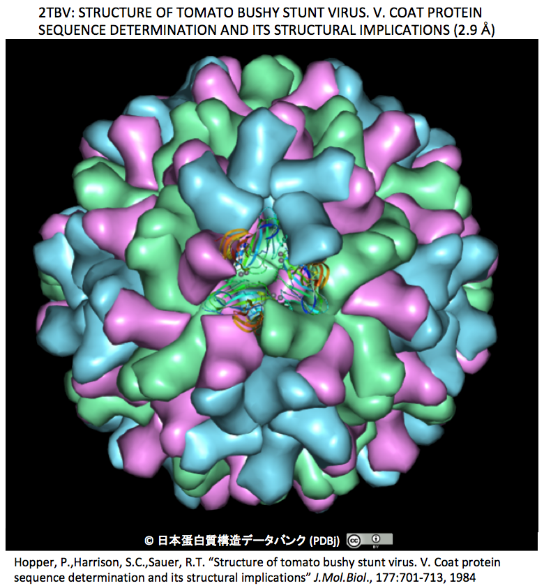 ドラッグデリバリー ヌクレオカプシドの設計と進化 Crisp Bio