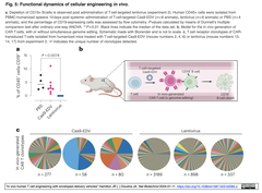 Cas9-EDV 5