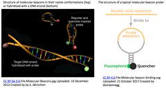 CRISPRメモ_2018/05/06（10件）