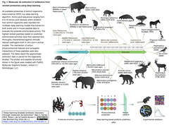 extinct animals