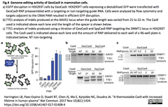 Stable Cas9 2