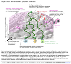 The end of the genetic paradigm of cancer 2