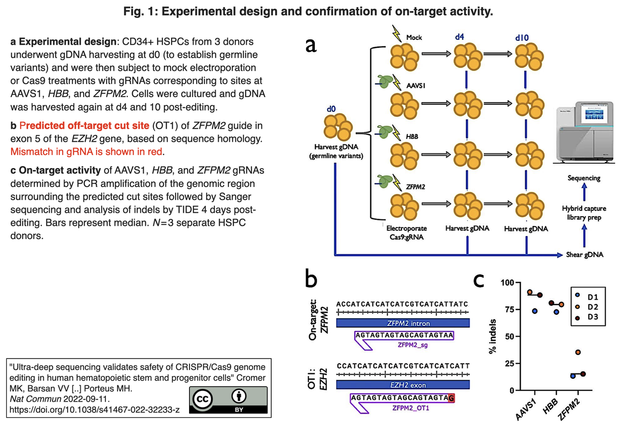 ウルトラ・ディープ・シーケンシングによるHSPCsのCRISPR/Cas9