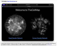Global genetic interaction network Web site