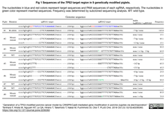 CRISPRメモ_2018/10/25 (３件)