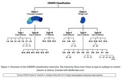 [CRISPR101] CRISPRシステムのタイプ