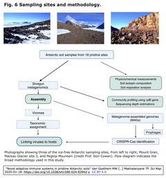 Antarctic soil 6