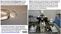 Automatic Microinjector 1