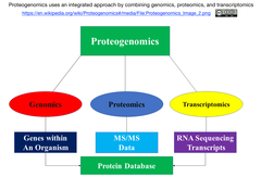 proteogenomics