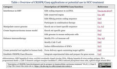 HCC treatment 2