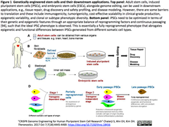 CRISPRメモ_2017/11/23（技術開発・応用のレビュー４件、プロトコル・ビデオなど）