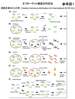 CRISPR関連文献メモ_2016/07/22（４件）