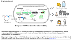 Exploiting the Endogenous Type II-A  GA