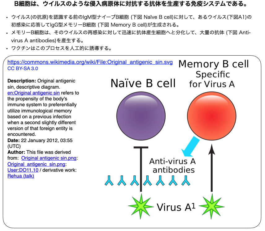 Sars Cov 2に感染したという免疫記憶は8ヶ月維持される Crisp Bio