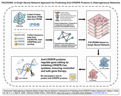 抗CRISPRタンパク質配列を予測する高度な異種ネットワークベース・グラフニューラルネットワーク・フレームワーク
