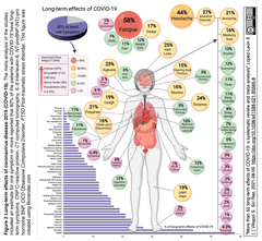 多臓器への影響